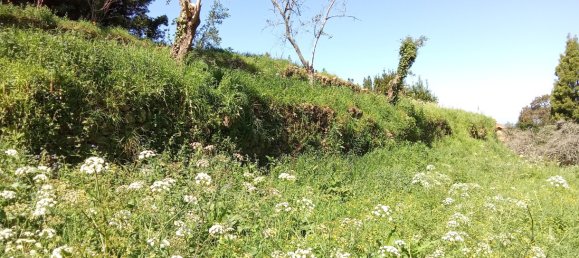 Terrain à Caminha, Portugal 2310m² No. 58691 11