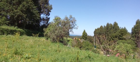 Terrain à Caminha, Portugal 2310m² No. 58691 2