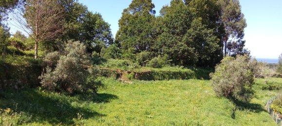 Terrain à Caminha, Portugal 2310m² No. 58691 5