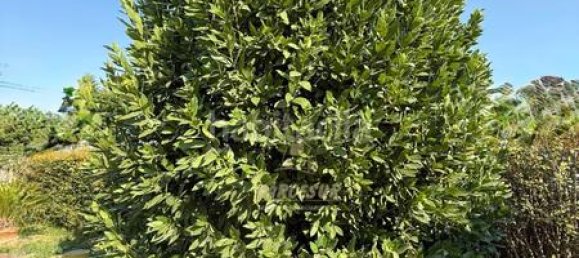 3 chambres Maison à Cordoba, Spain No. 145939 33