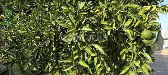 3 chambres Maison à Cordoba, Spain No. 145939 30