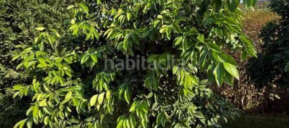 3 chambres Maison à Cordoba, Spain No. 145939 32