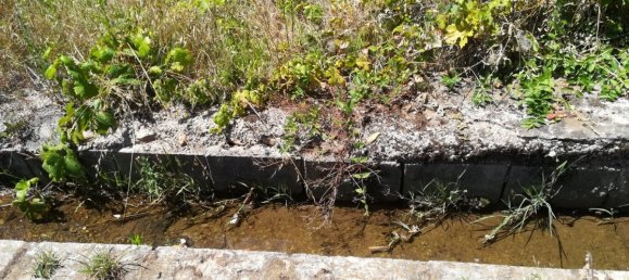 Grundstück in Cacabelos, Spain, Nr. 79692 9