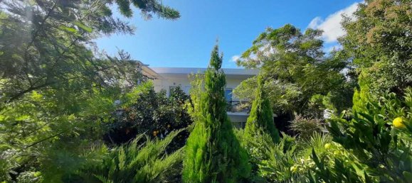 275m² Commercial property in Nea Makri, Greece No. 4522 18