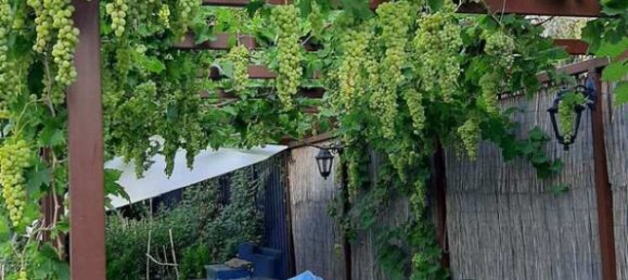 275m² Commercial property in Nea Makri, Greece No. 4522 29