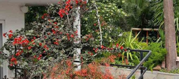 275m² Commercial property in Nea Makri, Greece No. 4522 4