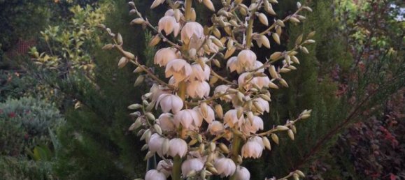 275m² Commercial property in Nea Makri, Greece No. 4522 25