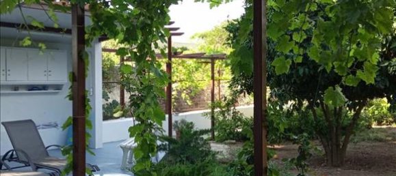 275m² Commercial property in Nea Makri, Greece No. 4522 15