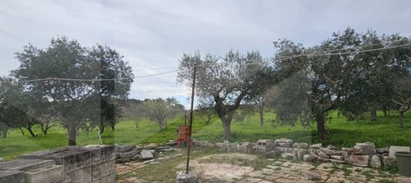 12-Zimmer Haus in Martina Franca, Italy, Nr. 23683 22