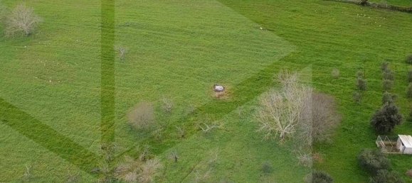 12-Zimmer Haus in Martina Franca, Italy, Nr. 23683 23