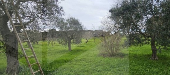 12-Zimmer Haus in Martina Franca, Italy, Nr. 23683 17