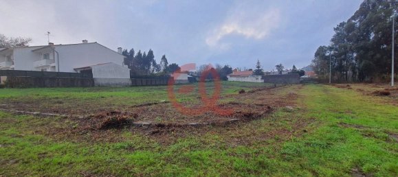 Grundstück in Viana do Castelo, Portugal 6535m², Nr. 73922 6