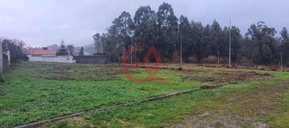 Grundstück in Viana do Castelo, Portugal 6535m², Nr. 73922 8