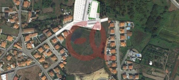 Grundstück in Viana do Castelo, Portugal 6535m², Nr. 73922 2