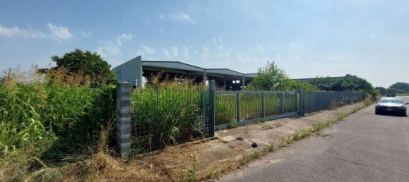 2000m² Warehouse in Rodigo, Italy No. 378504 5