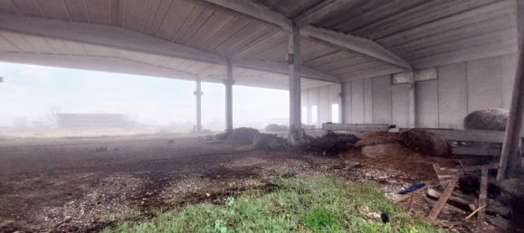 2000m² Warehouse in Rodigo, Italy No. 378504 12