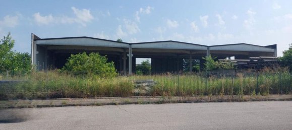 2000m² Warehouse in Rodigo, Italy No. 378504 10