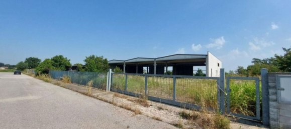2000m² Warehouse in Rodigo, Italy No. 378504 9