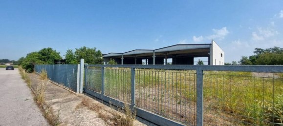 2000m² Warehouse in Rodigo, Italy No. 378504 23