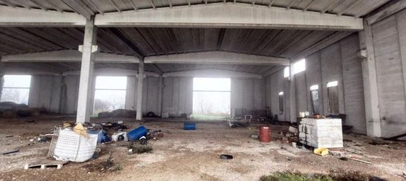 2000m² Warehouse in Rodigo, Italy No. 378504 19