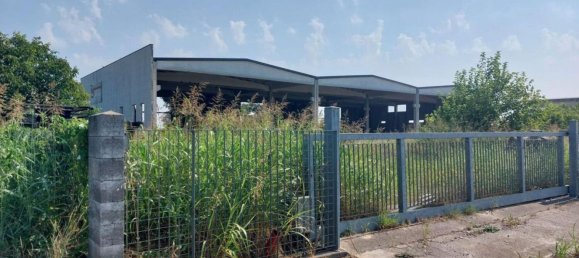 2000m² Warehouse in Rodigo, Italy No. 378504 4