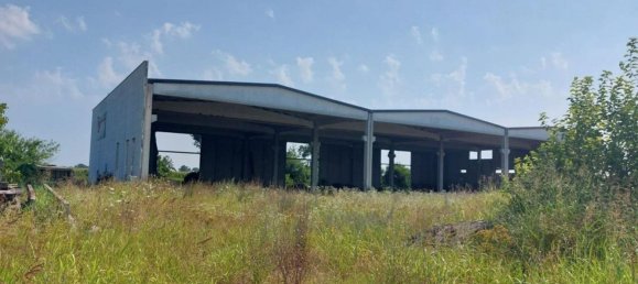 2000m² Warehouse in Rodigo, Italy No. 378504 6