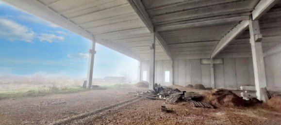 2000m² Warehouse in Rodigo, Italy No. 378504 15