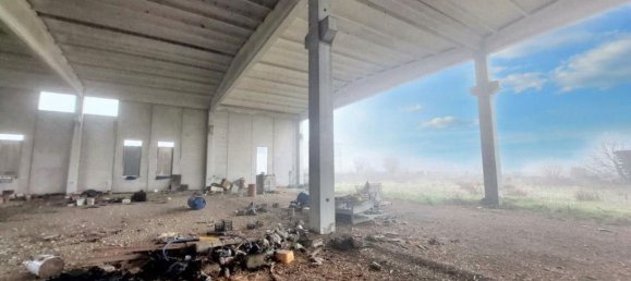 2000m² Warehouse in Rodigo, Italy No. 378504 21