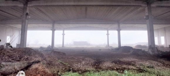 2000m² Warehouse in Rodigo, Italy No. 378504 13