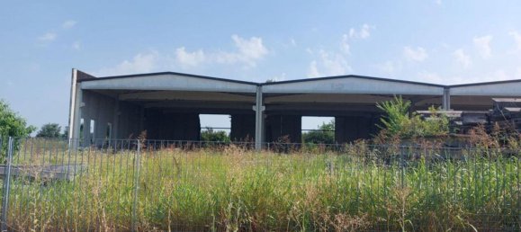 2000m² Warehouse in Rodigo, Italy No. 378504 2