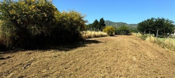 2000m² Land in San Cesareo, Italy No. 223065 10