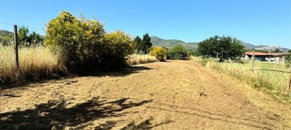 2000m² Land in San Cesareo, Italy No. 223065 9