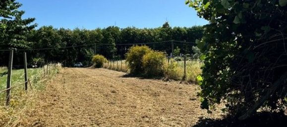 2000m² Land in San Cesareo, Italy No. 223065 26