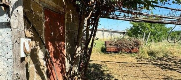 2000m² Land in San Cesareo, Italy No. 223065 18