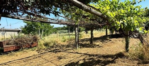 2000m² Land in San Cesareo, Italy No. 223065 19
