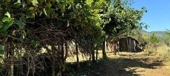 2000m² Land in San Cesareo, Italy No. 223065 13