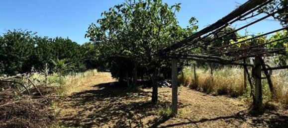 2000m² Land in San Cesareo, Italy No. 223065 24