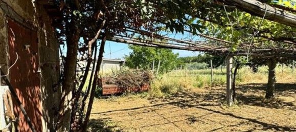 2000m² Land in San Cesareo, Italy No. 223065 20