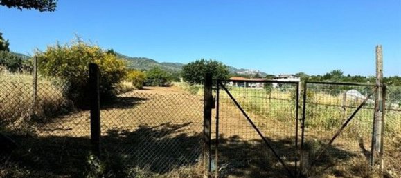 2000m² Land in San Cesareo, Italy No. 223065 6