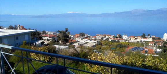 3 dormitorios propiedad comercial en venta en Xylokastro, Xylokastro-Evrostina, Corinthia, Peloponnese, Peloponnese, Western Greece and the Ionian, Greece № 6064 11