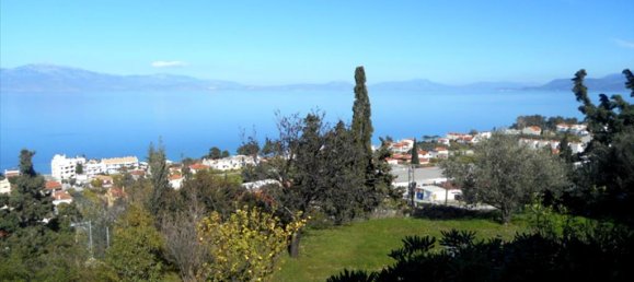 3 dormitorios propiedad comercial en venta en Xylokastro, Xylokastro-Evrostina, Corinthia, Peloponnese, Peloponnese, Western Greece and the Ionian, Greece № 6064 12