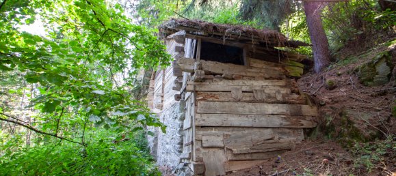 5 chambres Maison à Les Agettes, Switzerland No. 76 28