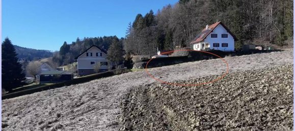 Terrain à Kirchberg an der Raab, Austria No. 126563 23