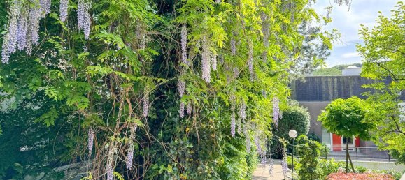 9-Zimmer Villa in Währing, Austria, Nr. 40105 6