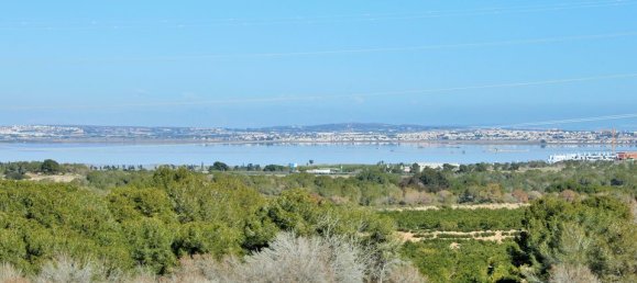 3 bedrooms Villa in Alicante, Spain No. 176109 29