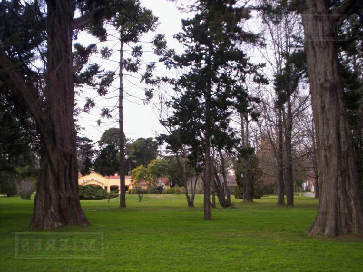  Land in Pilar, Argentina No. 36728