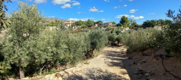 4 bedrooms Villa in Albatera, Spain No. 9800 22