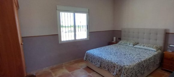 4 bedrooms Villa in Albatera, Spain No. 9800 14