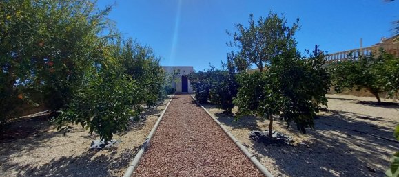 4 bedrooms Villa in Albatera, Spain No. 9800 21