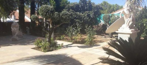 5 غرف نوم عقار تجاري في Kalo Chorio, Cyprus رقم 18176 16